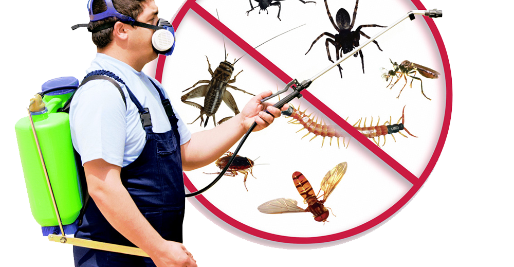 KFM can provide you the professional pest control service you require .