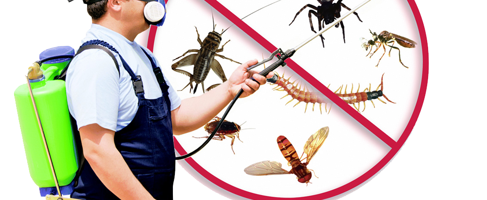 KFM can provide you the professional pest control service you require .